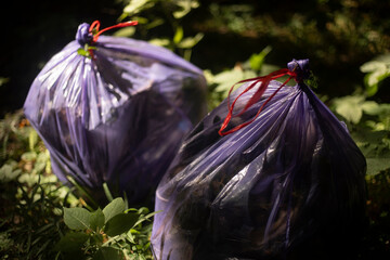 Garbage collection in the park. A bag with handles.