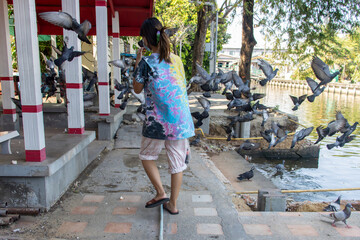 A flock of pigeons fly out of the way in front of a passing girl, Bangkok, Thailand