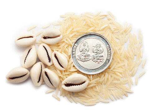 Top view of Cowries (Cypraea chinensis) and a silver coin placed over a pile of rice, isolated on a white background.