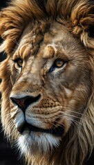 Pencil drawing capturing the face of a majestic lion.