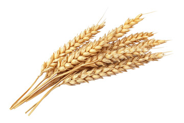 Golden wheat stalks isolated on transparent background. Perfect for agricultural and nature themes in stock images.