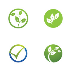 Leaf Green Nature Ecology Element Vector Image