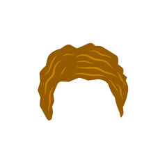 men hair vector design