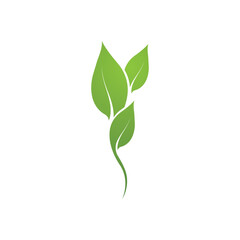 Leaf Green Nature Ecology Element Vector Image