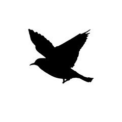 PNG flying birds animation PNG transparent