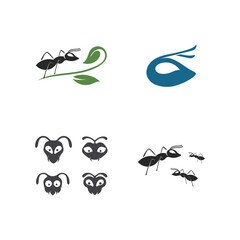 Ant vector illustration design