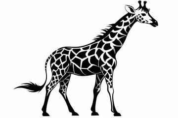 Naklejka premium giraffe illustration