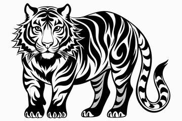 tiger illustration
