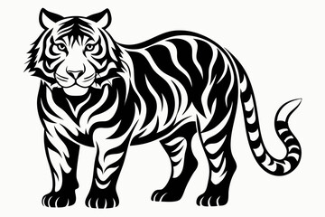 tiger illustration