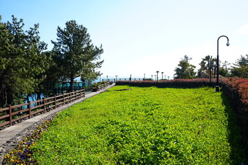 walkway and bench at seaside cliff