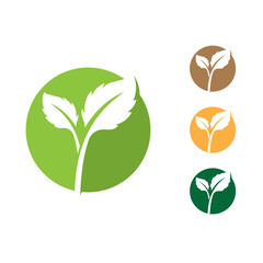  green Tree leaf  logo ecology nature element