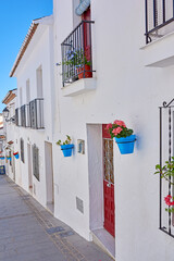 Fototapeta premium Flower pot, wall and village with architecture, landscaping and travel as texture or wallpaper. Background, nature and home garden decor for tourism, outdoor adventure or holiday destination in Spain