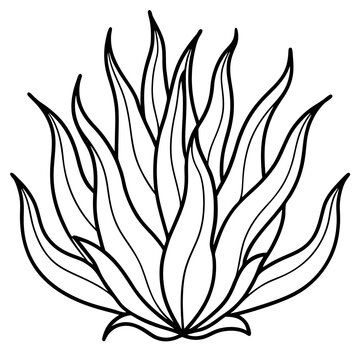recommend clip art: ocean plant outline coloring book page line art drawing