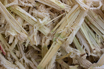 Sugarcane pulp from which the juice has been extracted