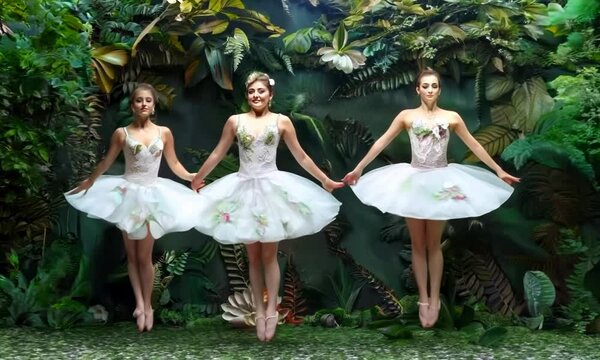 Graceful dancers and botanical motifs, Video