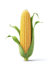 realistic simple 3D render corn, fresh vegetable corn, isolated in light grey white background