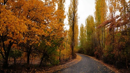 Obraz premium Autumn color, Village