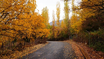 Obraz premium Autumn color, Village