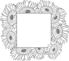 Hand drawn botanical frame with sunflowers. Vector illustration in sketch style isolated on white. Realistic sunflower design element. Space for text