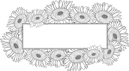 Hand drawn botanical frame with sunflowers. Vector illustration in sketch style isolated on white. Realistic sunflower design element. Space for text