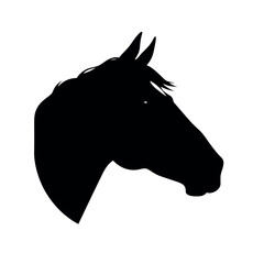 a horse face vector silhouette, black color silhouette white background