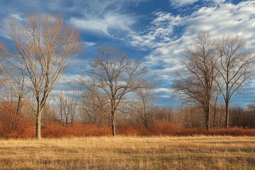 Obraz premium Autumn Landscape with Bare Trees and Blue Sky
