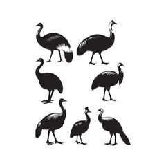 Simplified cassowary silhouette for versatile artistic designs - Cassowary illustration - minimallest cassowary vector
