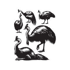 Minimalist cassowary silhouette for creative art and design - Cassowary black vector
