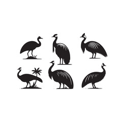 Elegant cassowary silhouette for creative artwork - Cassowary black vector
