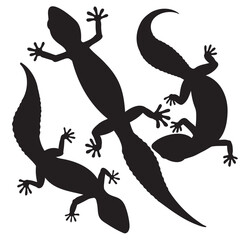 Black and white silhouette of a gecko
