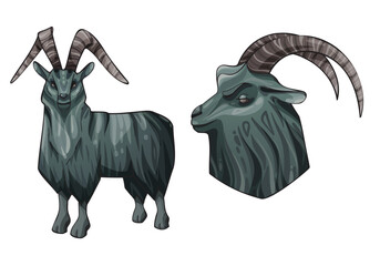 Irish GoatIllustration of an Irish goat