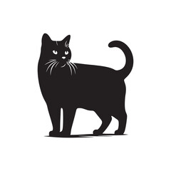 Fototapeta premium Captivating cat silhouette for versatile creative designs - Cat black vector 