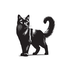 Simplified cat silhouette for creative digital media - Cat illustration - minimallest cat vector
