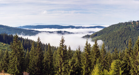 View from Mountains to the Valley Covered with Foggy. Carpathians, Romania, Europe.