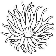 sea anemone outline coloring book page line art drawing