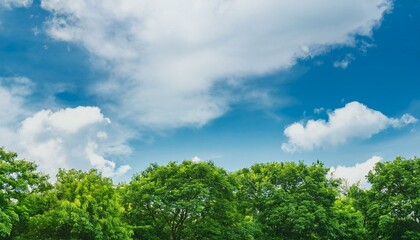 Obraz premium green field and blue sky