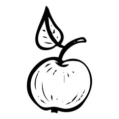Apple hand drawn doodle. Sweet fruit from tree. Organic ripe raw vegetable. Vegetarian food. Healthy eating. Vitamins. Diet. Vector sketch line art illustration.
