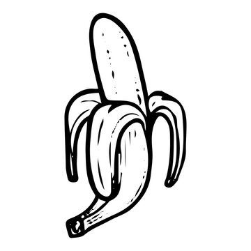 recommend clip art: Banana hand drawn doodle. Organic ripe raw fruit. Open peel. Sweet vegetable. Ready to eat product. Vegetarian food. Healthy eating. Vitamins. Diet. Vector sketch line art illustration.