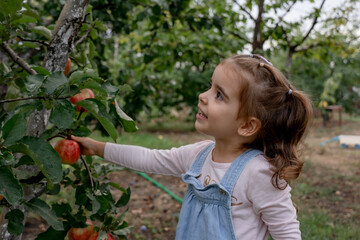 girl with apple