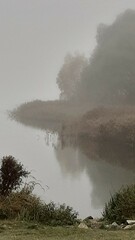 fog over the lake
