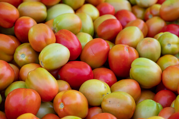 Fresh ripe tomatoes sold in a supermarket. Fresh red tomatoes, Red tomatoes background