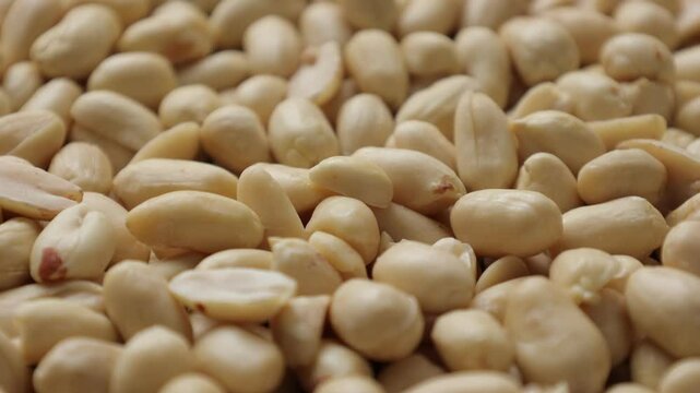 close up of peanut nut 
