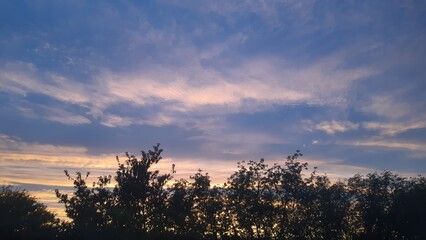 sunset in the field, sunset in the city 1