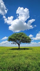 Obraz premium Serene Landscape with Solitary Tree in Vast Field under Clear Blue Sky and Fluffy Clouds