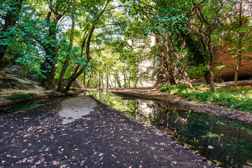 Spilaio Kataraktes forest trail near Sidirokastro, Greece