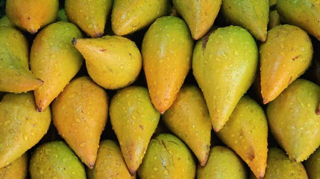 Yellow sapote egg fruit Tiesa