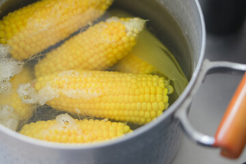 とうもろこし　ふるさと納税　返礼品