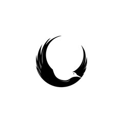 Obraz premium flying bird logo abstract circle illustration vector design