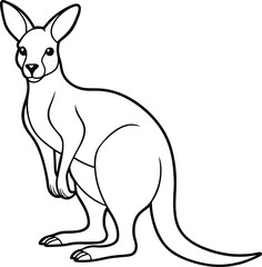 Kangaroo with Joey Coloring Fun Adventure for Kids
