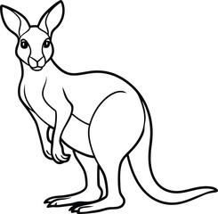 Kangaroo and Joey Coloring Adventure for Kids
